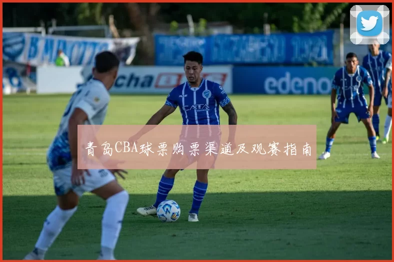 青岛CBA球票购票渠道及观赛指南