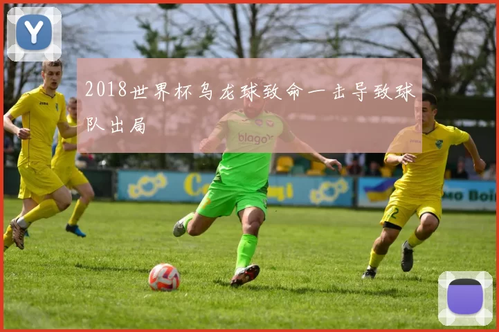 2018世界杯乌龙球致命一击导致球队出局
