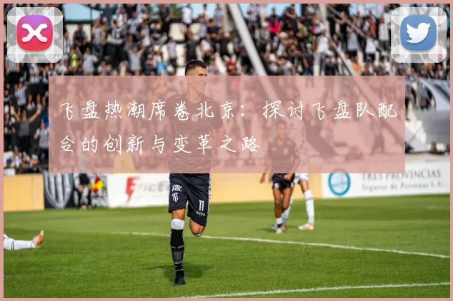 飞盘热潮席卷北京:探讨飞盘队配合的创新与变革之路