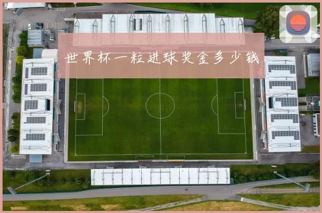 世界杯一粒进球奖金多少钱
