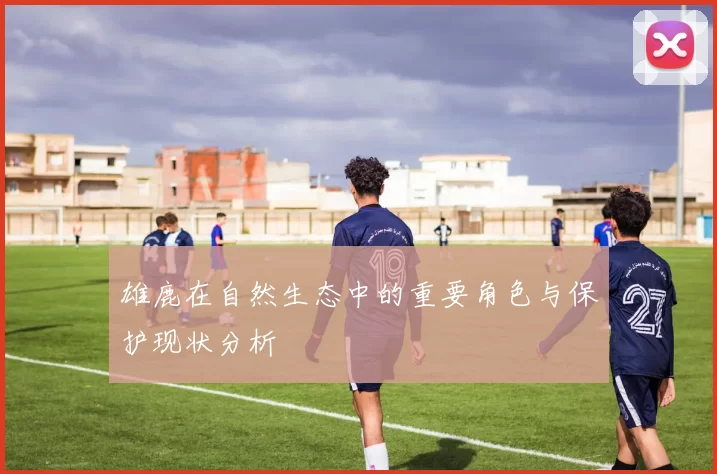 雄鹿在自然生态中的重要角色与保护现状分析