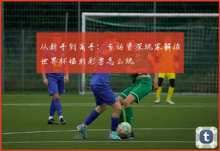 从新手到高手:专访资深玩家解读世界杯福利彩票怎么玩