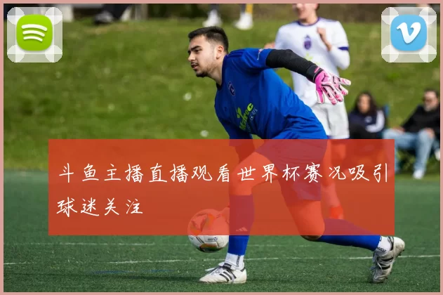 斗鱼主播直播观看世界杯赛况吸引球迷关注
