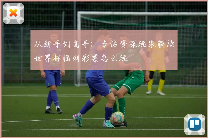 从新手到高手:专访资深玩家解读世界杯福利彩票怎么玩
