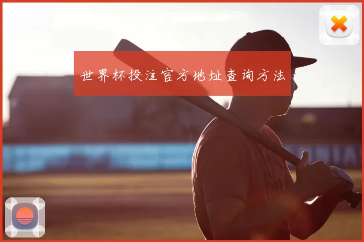 世界杯投注官方地址查询方法