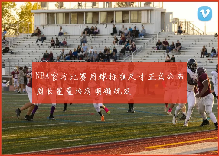 NBA官方比赛用球标准尺寸正式公布周长重量均有明确规定