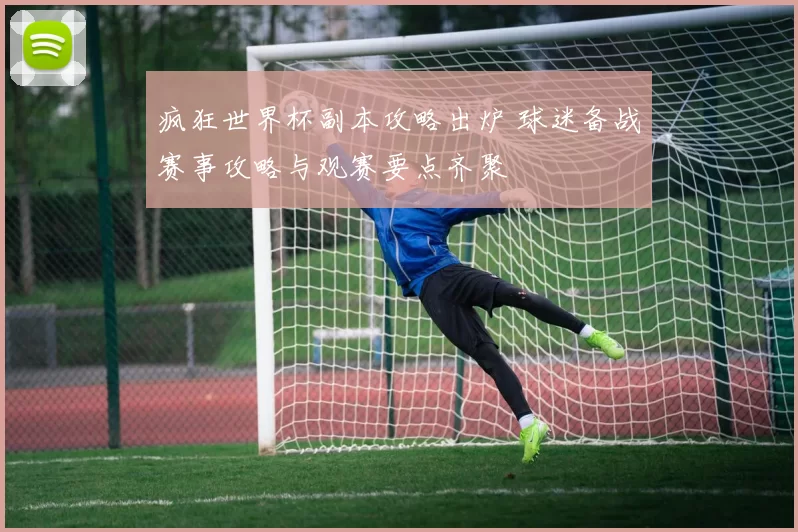 疯狂世界杯副本攻略出炉 球迷备战赛事攻略与观赛要点齐聚