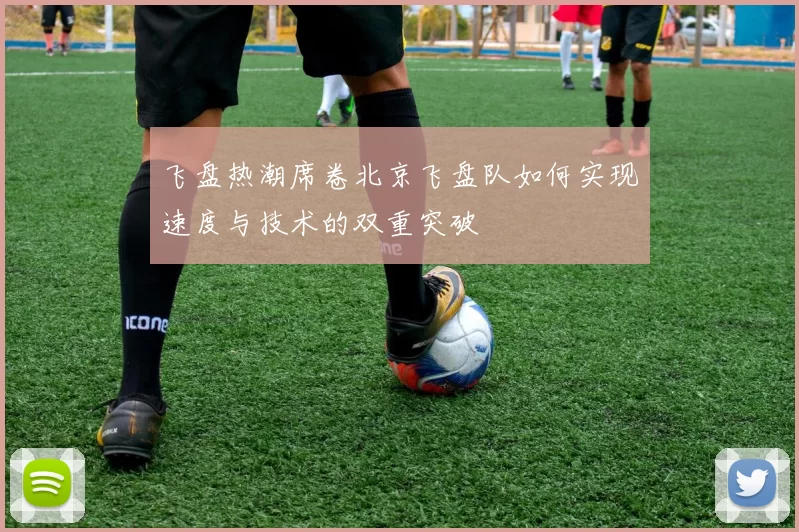 飞盘热潮席卷北京飞盘队如何实现速度与技术的双重突破